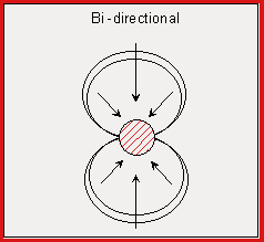 Bi-directional microphone
