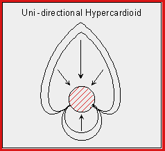 Hypercardioid microphone